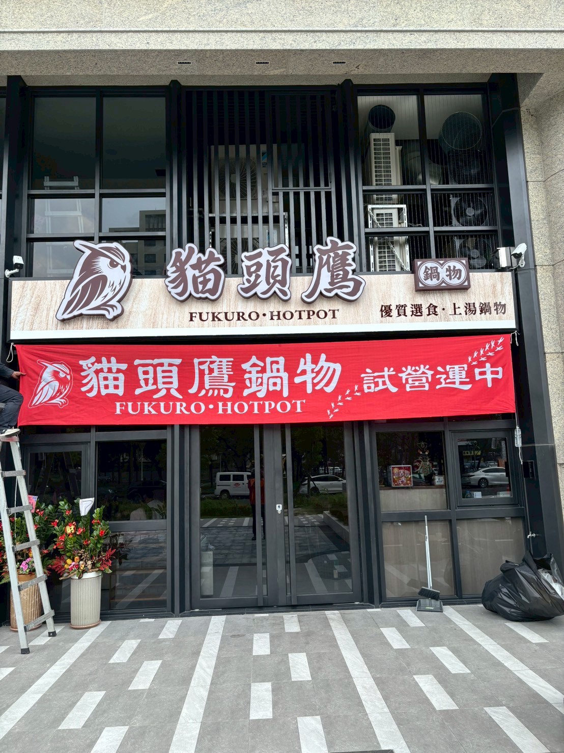 貓頭鷹
