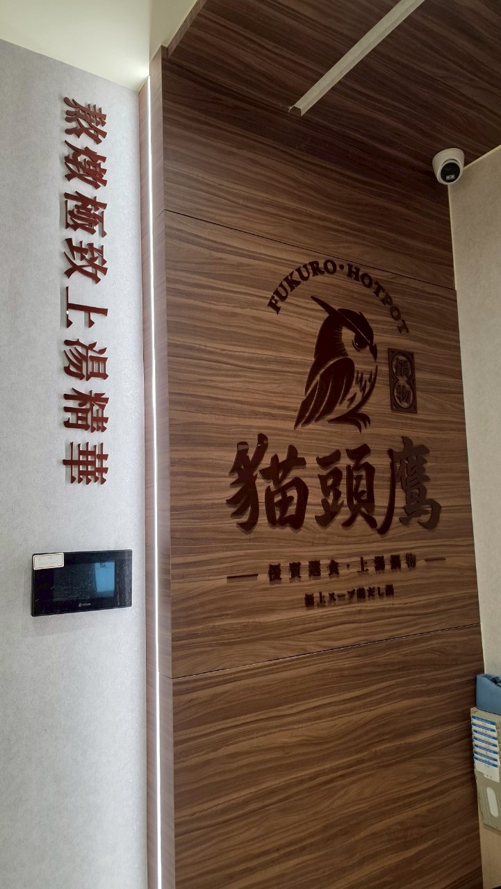 貓頭鷹