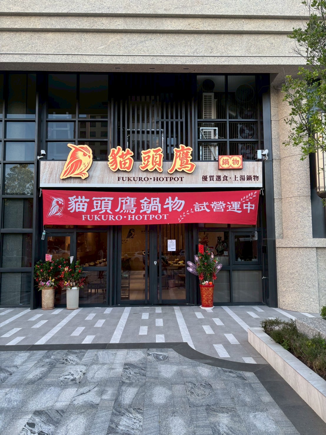貓頭鷹
