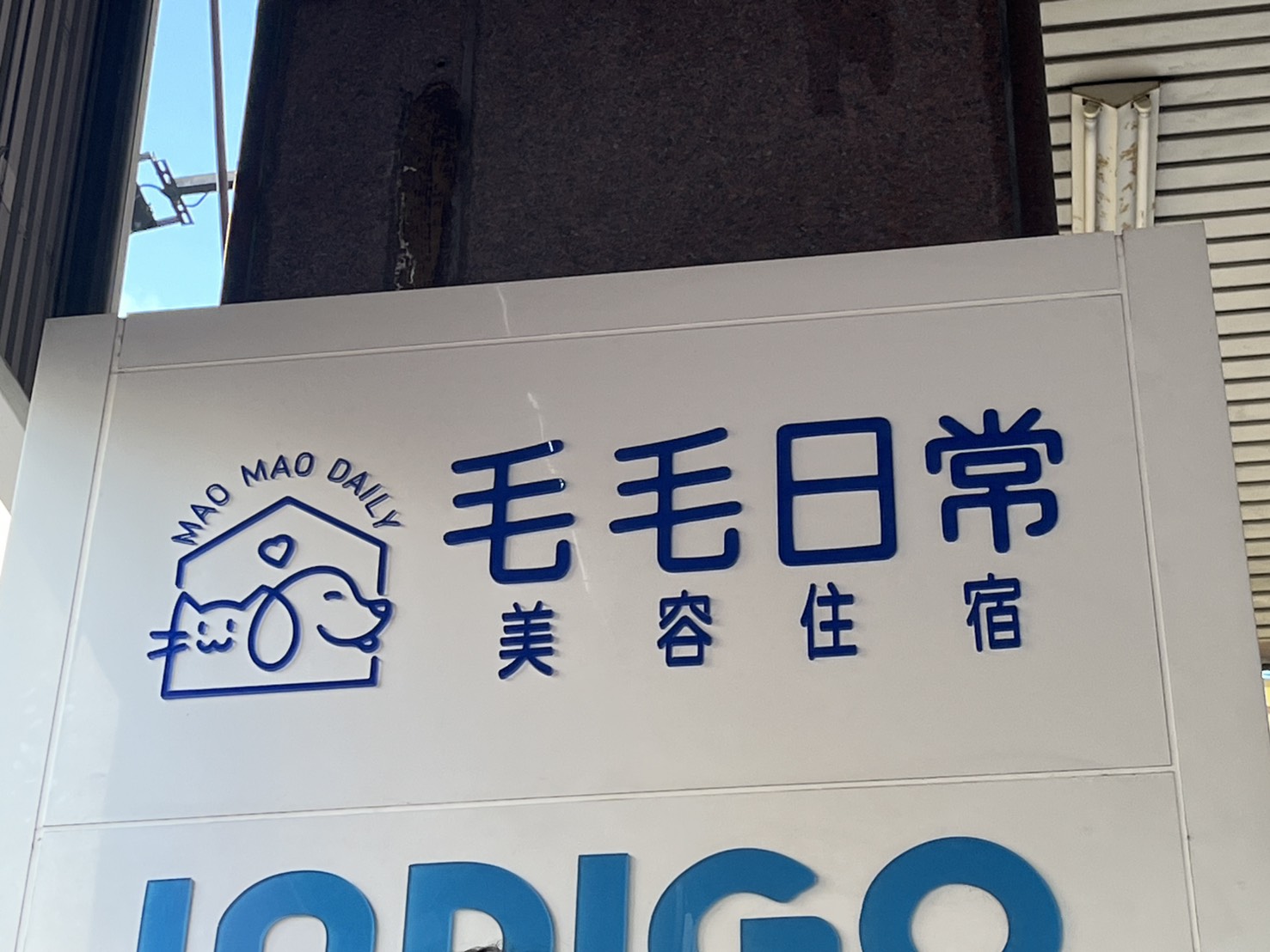 貓芮