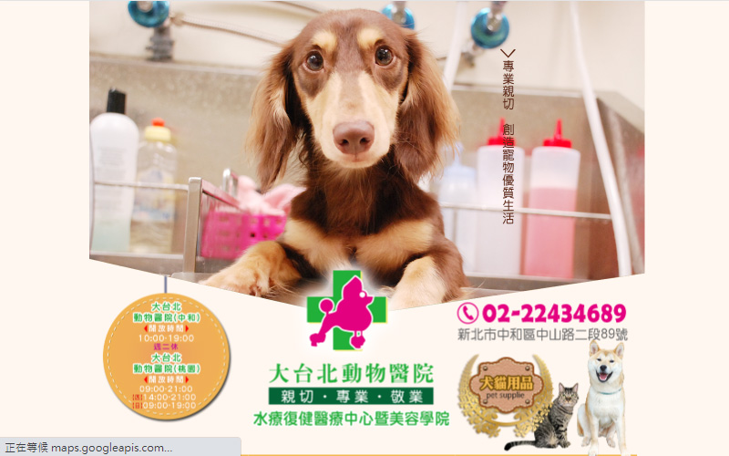 大台北動物醫院,台南網頁設計公司,企業網站,購物網站,客製化網站,響應式網站